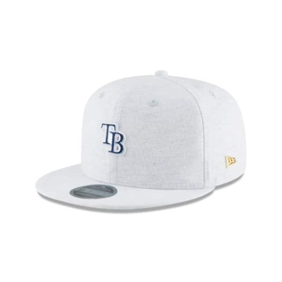 Tampa Bay Rays Gorra | New Era MLB Micro Stitch 9fifty Snapback Cap Mexico - Grises
